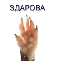 Хомячья жизнь