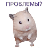 Хомячья жизнь