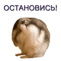 Хомячья жизнь