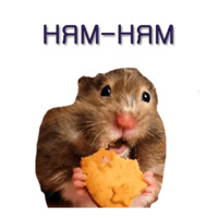 Хомячья жизнь