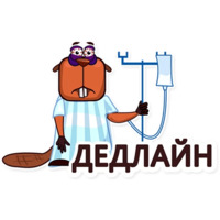 Бобры