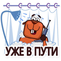 Бобры
