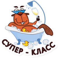 Бобры