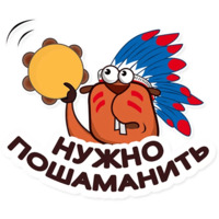 Бобры