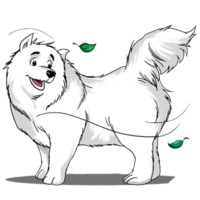 Снежная собака