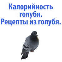 Идиотские запросы