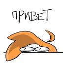 iwtdy