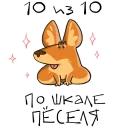 iwtdy