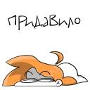 iwtdy