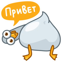 Чайка Джо