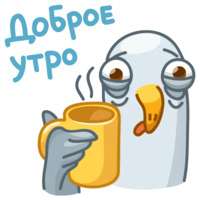 Чайка Джо