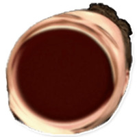 Kappa++