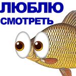 КАРАСЬ
