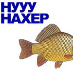 КАРАСЬ
