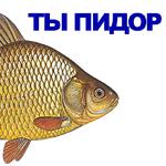 КАРАСЬ