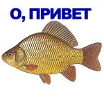 КАРАСЬ