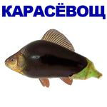 КАРАСЬ