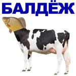 КАРАСЬ