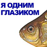 КАРАСЬ