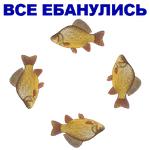 КАРАСЬ