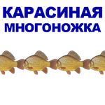 КАРАСЬ
