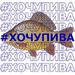 КАРАСЬ