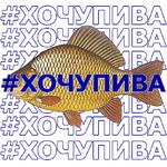 КАРАСЬ