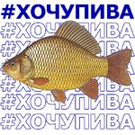 КАРАСЬ