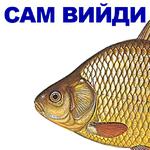 КАРАСЬ