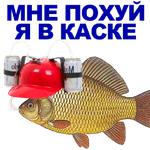 КАРАСЬ