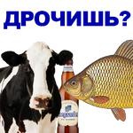 КАРАСЬ
