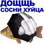 КАРАСЬ