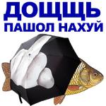 КАРАСЬ