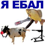 КАРАСЬ