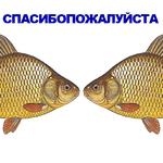 КАРАСЬ