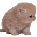Кисик