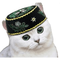 Кисулькен