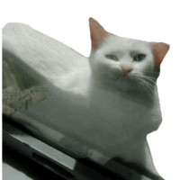 Кисулькен
