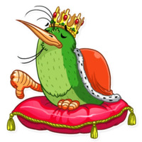 Киви Киви