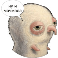 Птица Киви