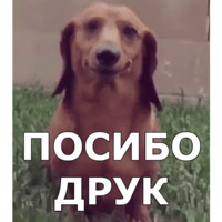 Набор стикеров Пёсели