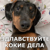 Пёсели