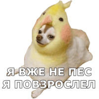 Пёсели