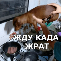 Пёсели