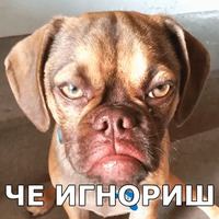 Пёсели