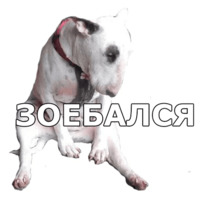 Пёсели