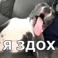 Пёсели