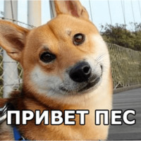 Пёсели