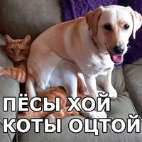 Пёсели