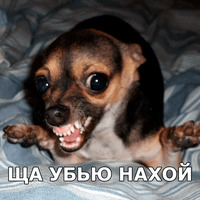 Пёсели